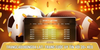 Trangcadobongda.lat: Trang cược bóng đá uy tín với 20+ kèo hấp dẫn